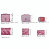 6Pcs Printed Travel Bag Set - Image 3